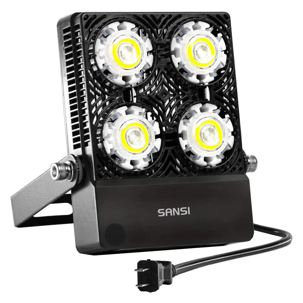 30W LED Flood Light (US ONLY)