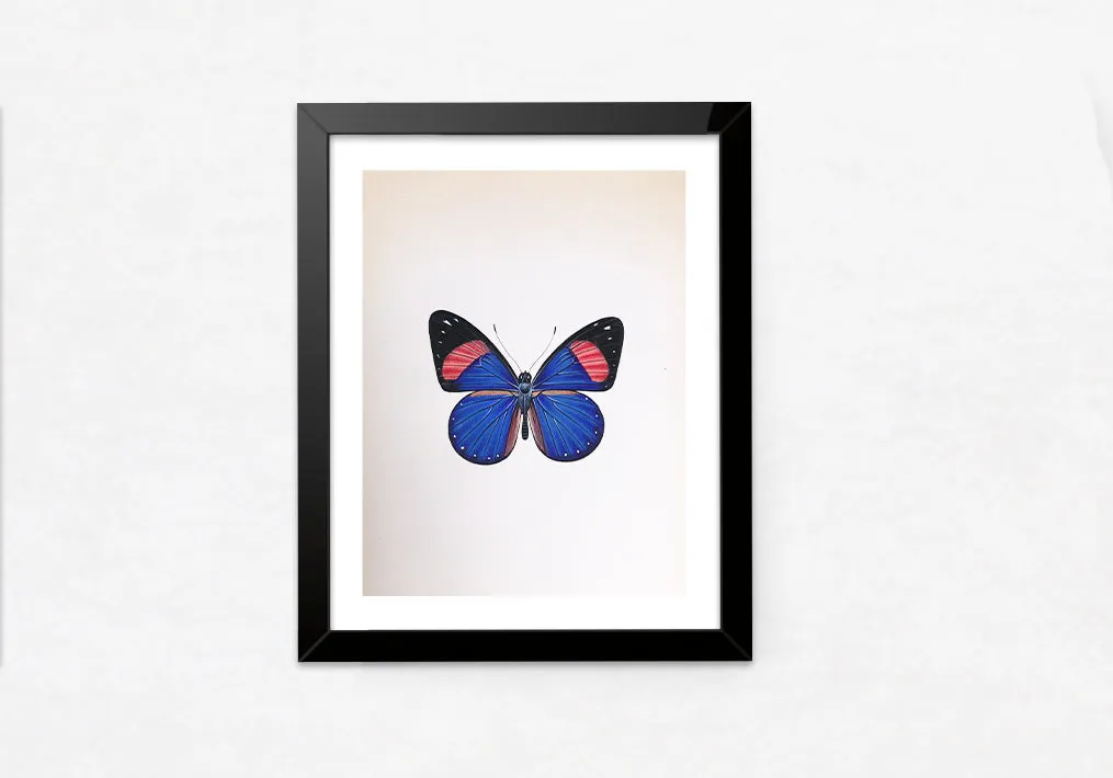 A Vibrant Butterfly in Miniature Painting by Mohan Prajapati