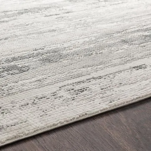 Aisha Viscose Medium Gray Rug