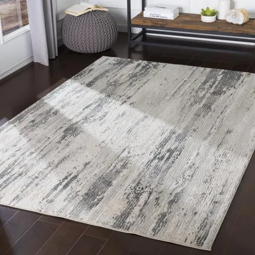 Aisha Viscose Medium Gray Rug