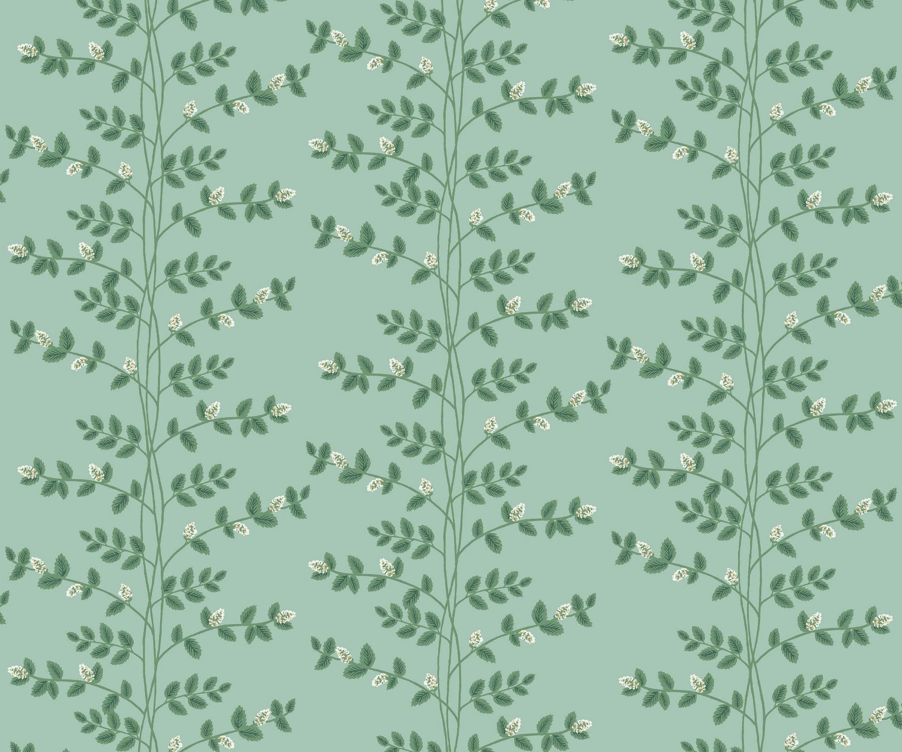 Climbing Vines Wallpaper - Teal