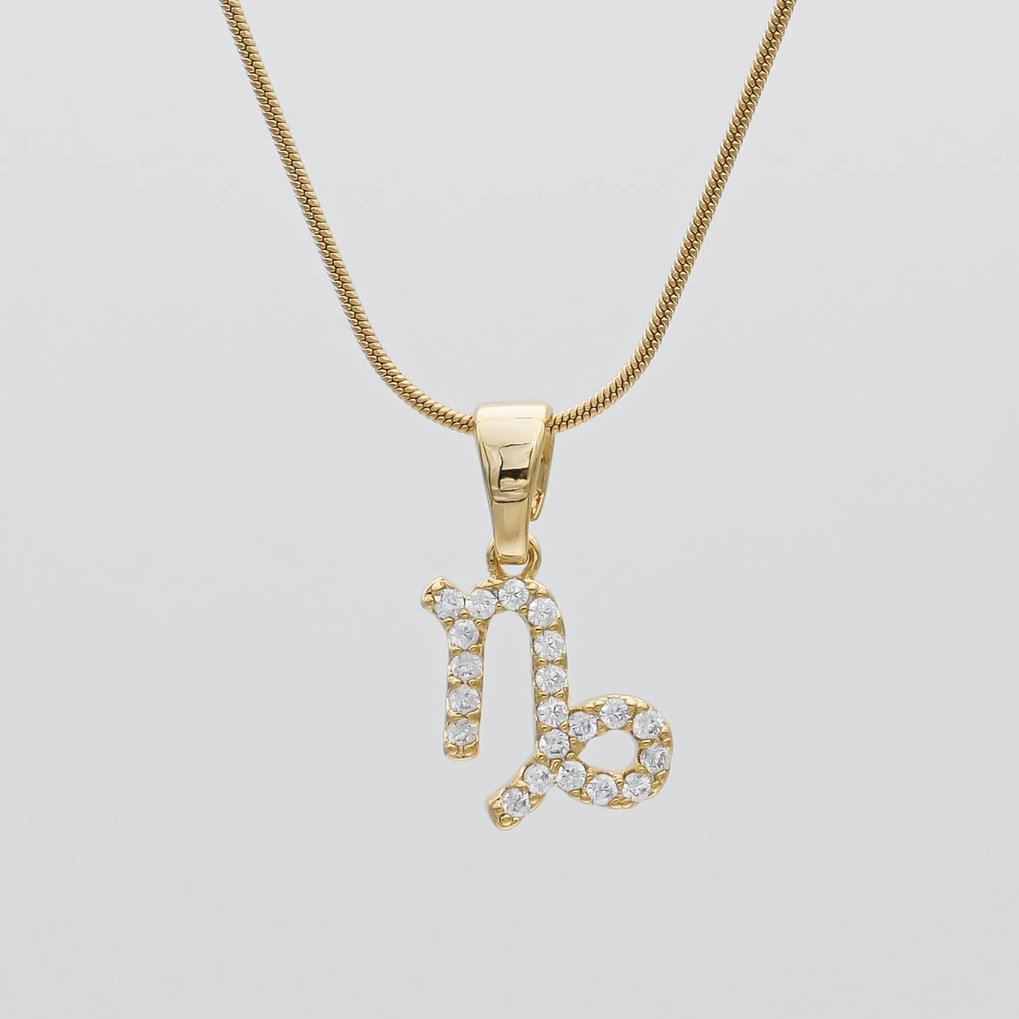 ICY Zodiac Symbol Necklace