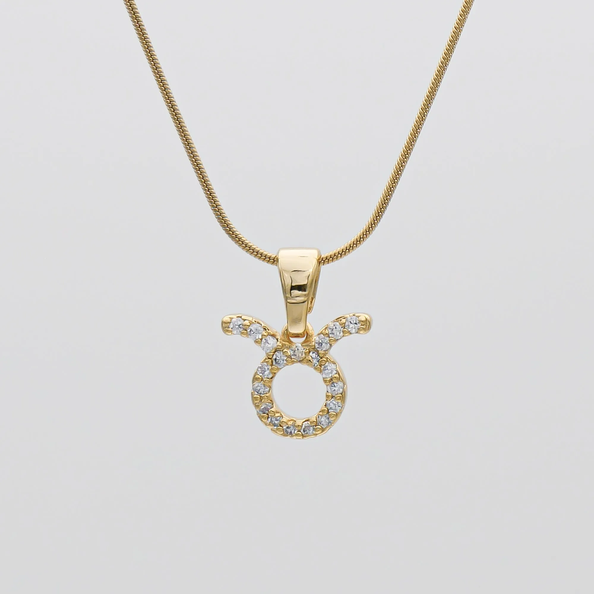 ICY Zodiac Symbol Necklace