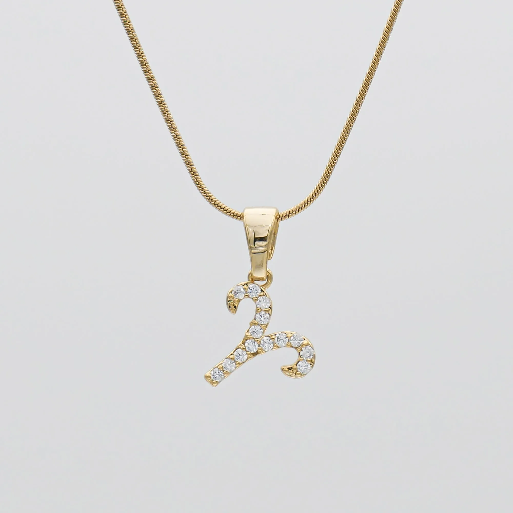 ICY Zodiac Symbol Necklace