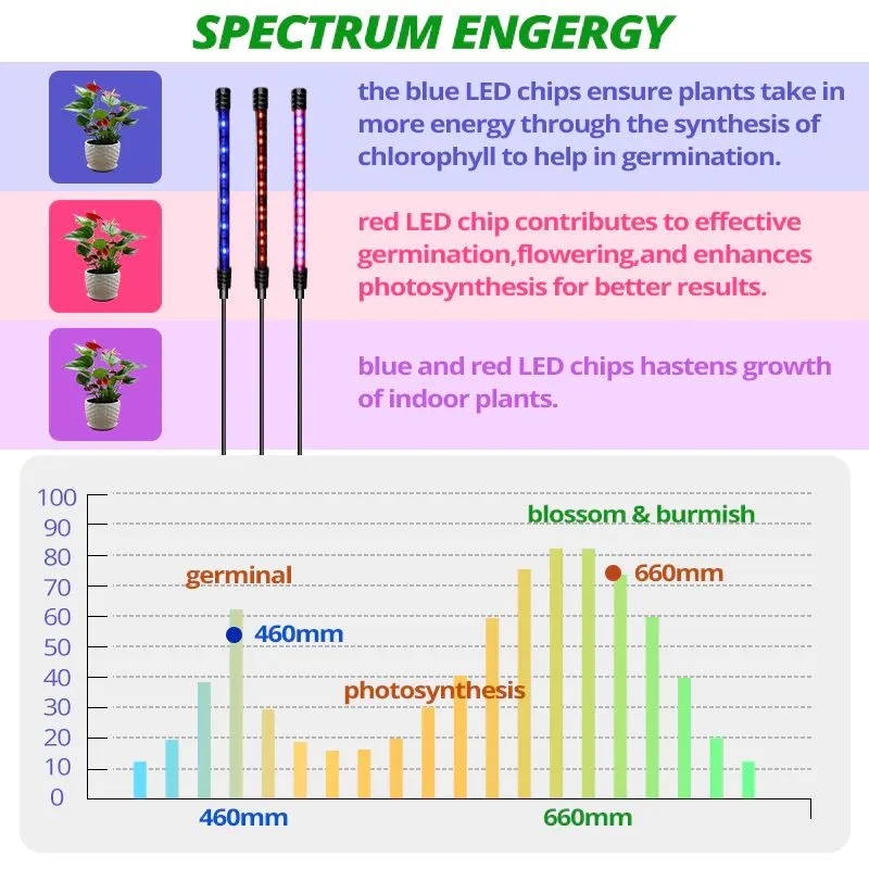 LED Grow Light