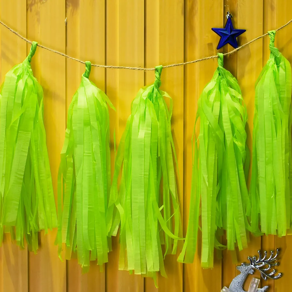 Paper Tassel Assembled or DIY Tassel Garland Wedding Photo Backdrop Birthday Party Decorations 12 light green  1bag