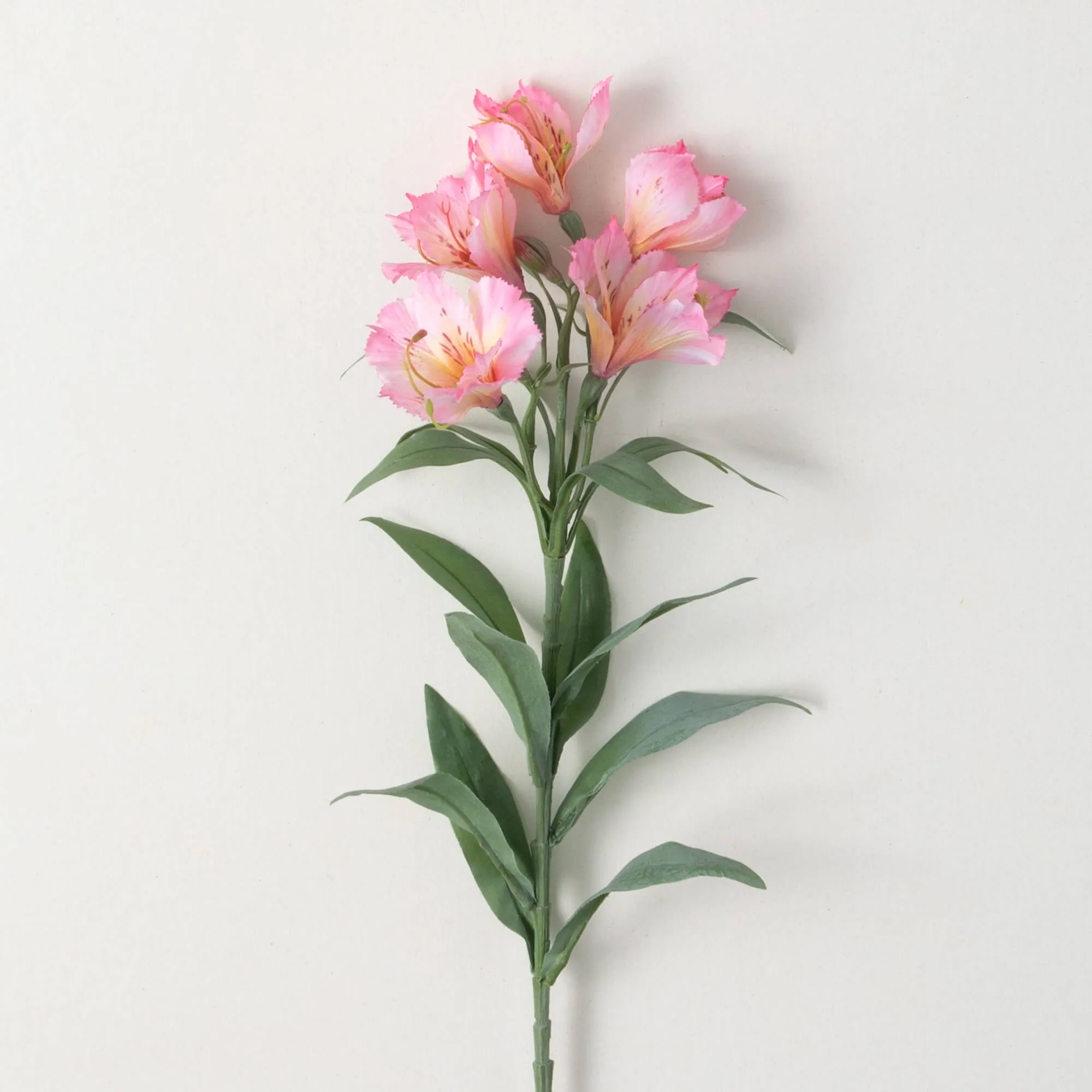 Pink Alstromeria Spray