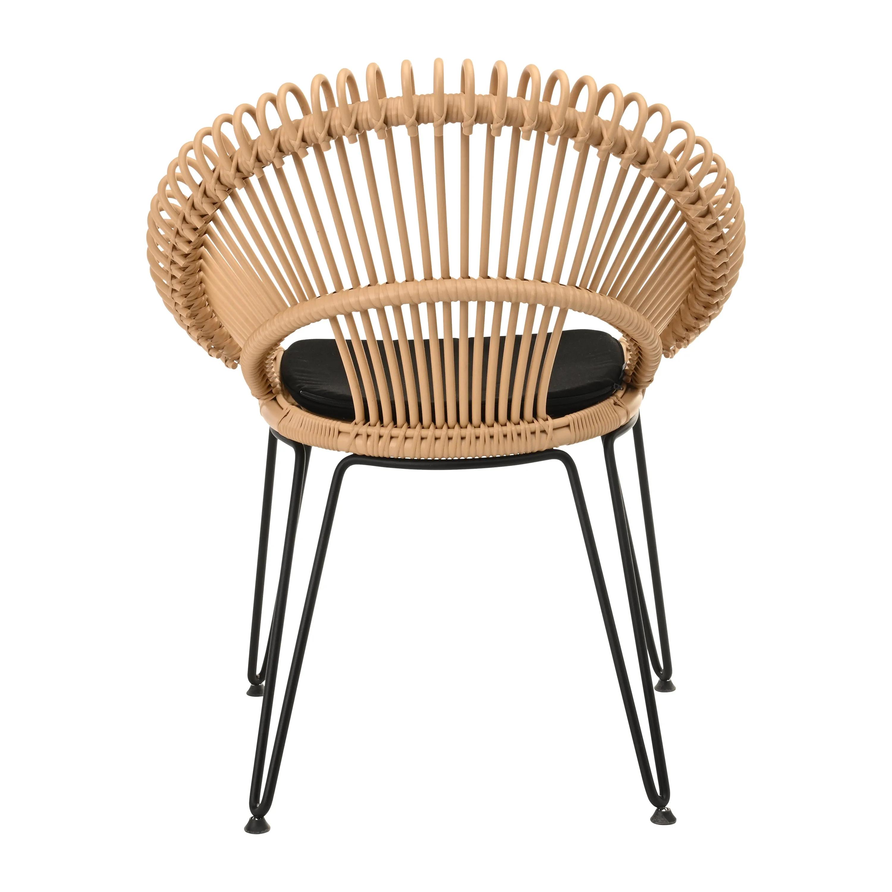 Roy Outdoor Dining Chair