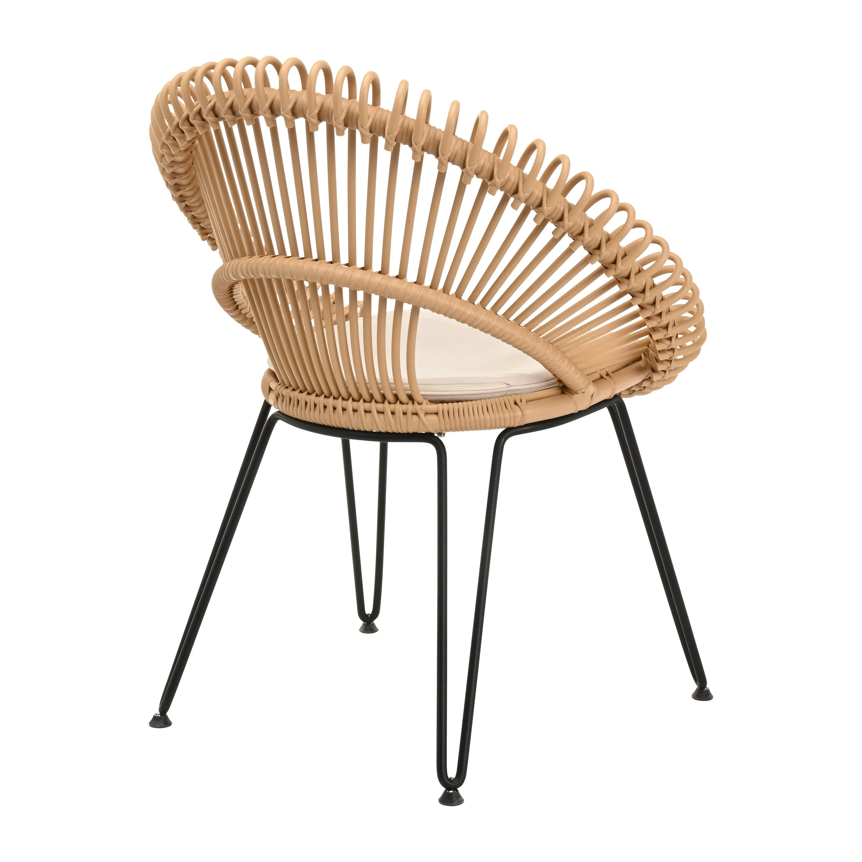 Roy Outdoor Dining Chair