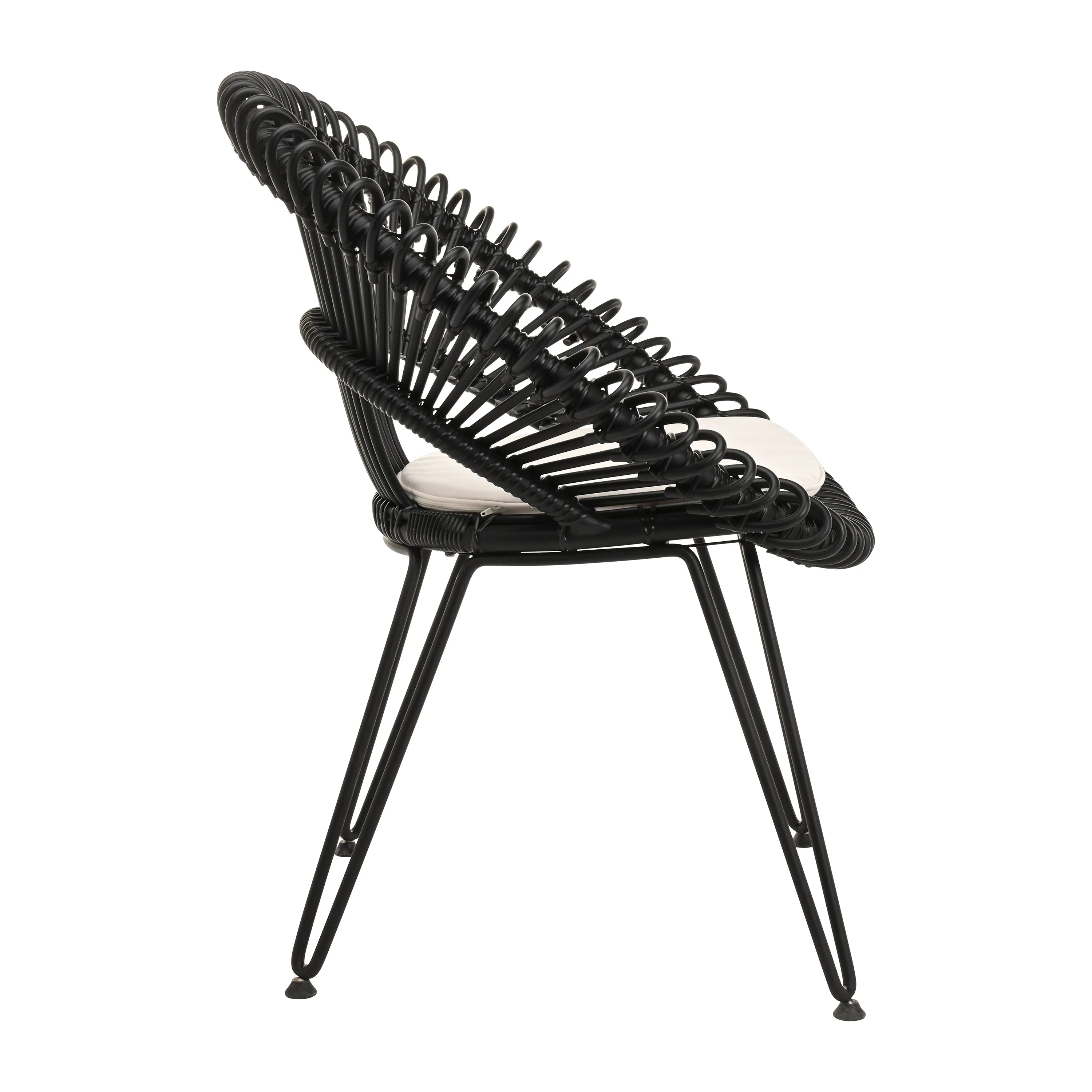 Roy Outdoor Dining Chair