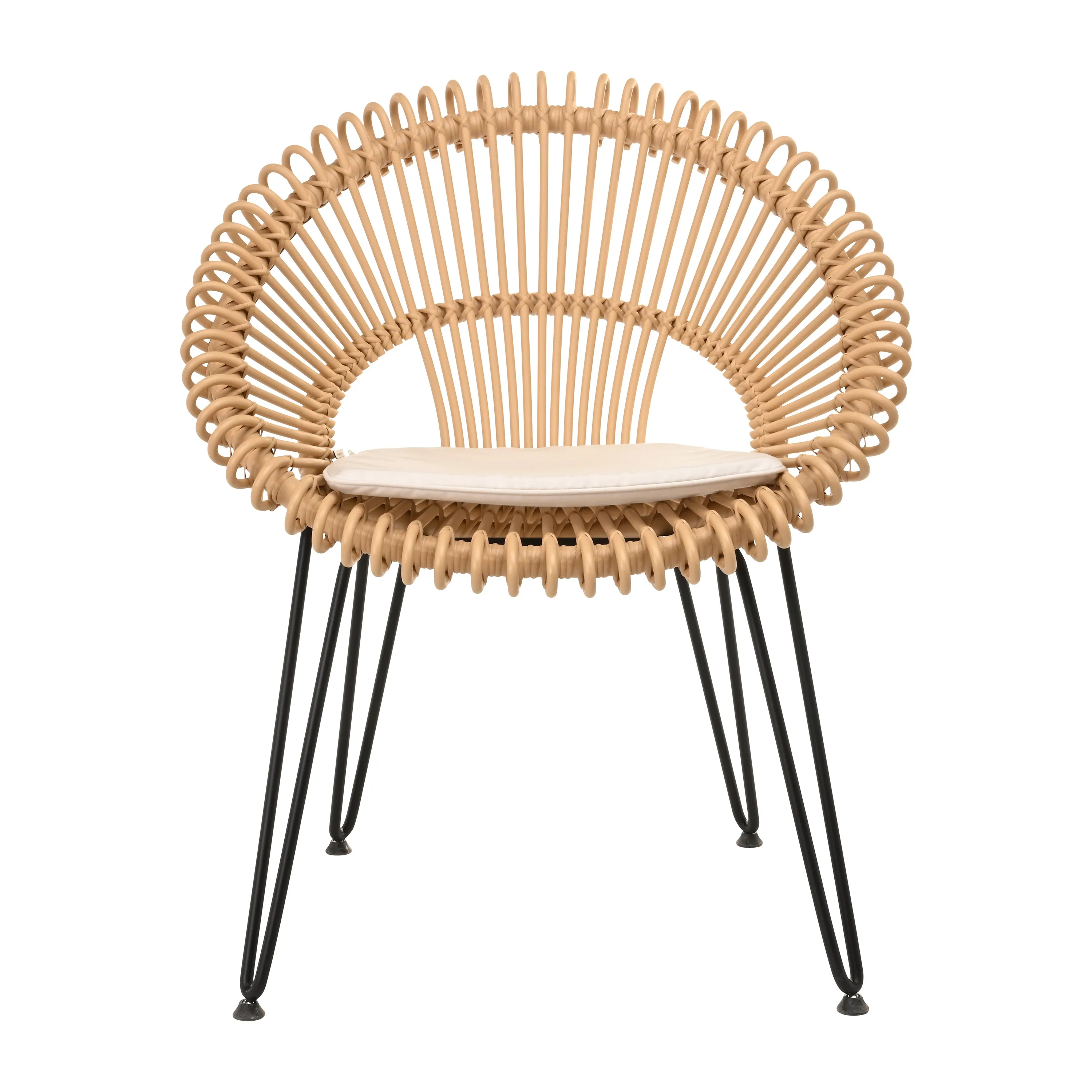 Roy Outdoor Dining Chair