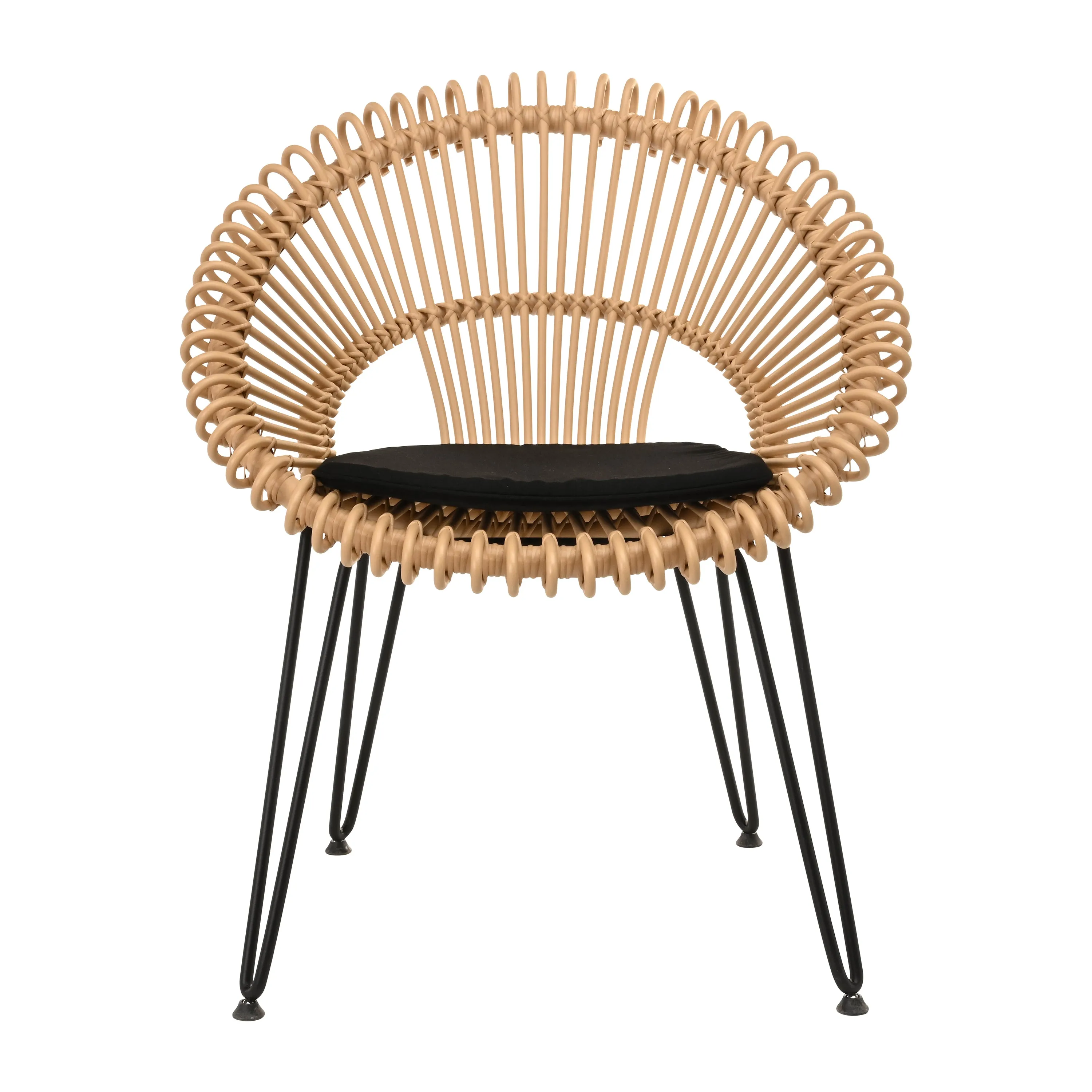 Roy Outdoor Dining Chair