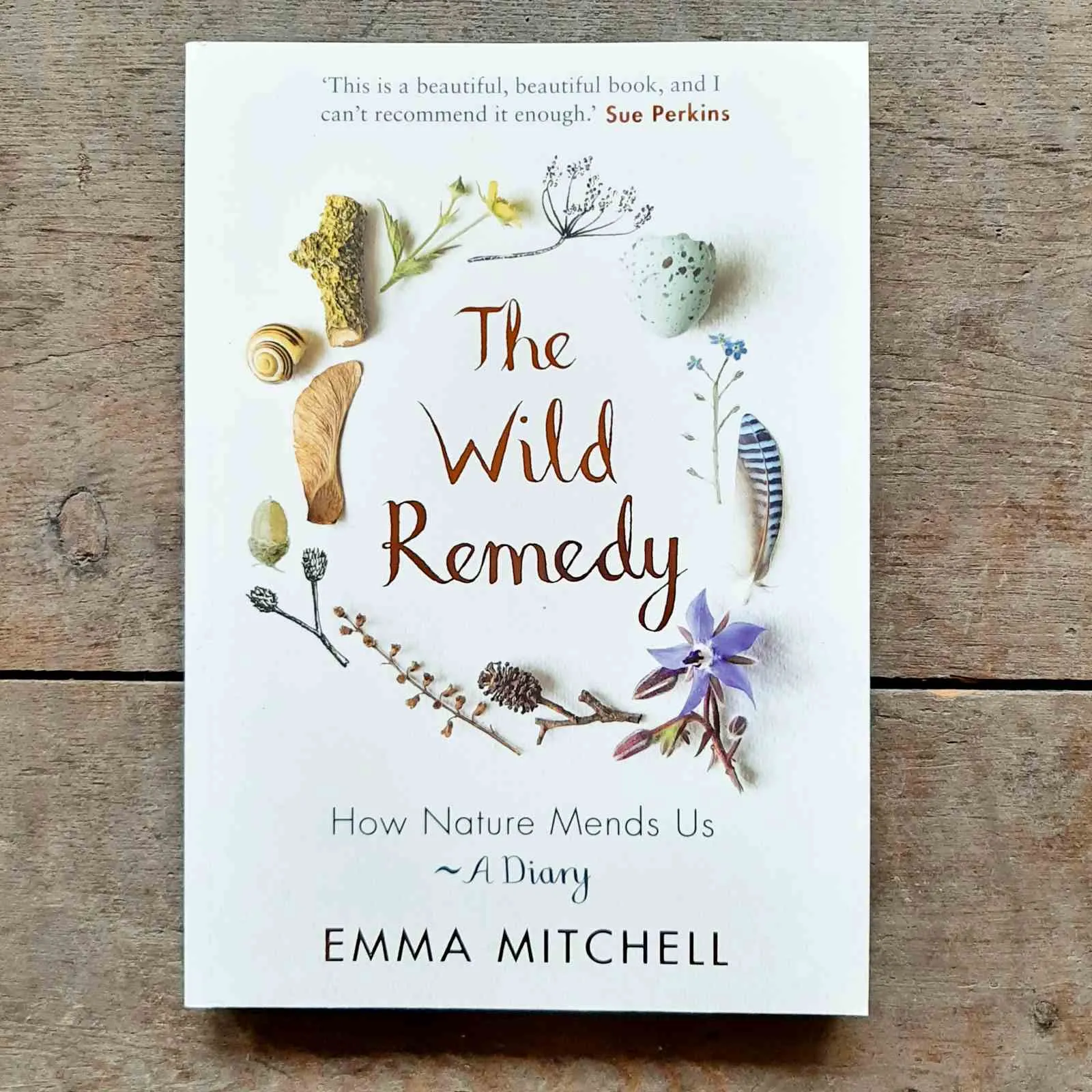 The Wild Remedy - Emma Mitchell